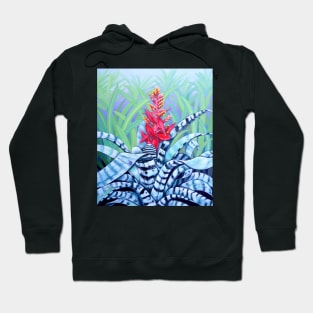 The Bromeliad Harlequin Hoodie